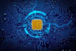 進軍大灣區 慧聰集團產業互聯網戰略再升級